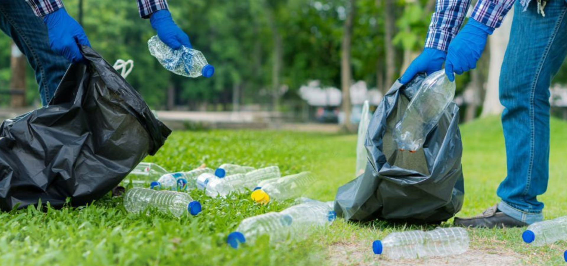 Plastic bottle scrap